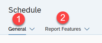 SAP_-_schedule_tabs.jpg