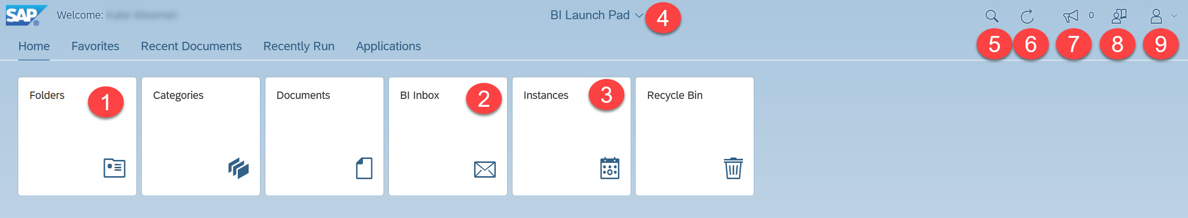 SAP_-_User_Interface.jpg